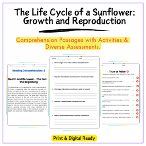 Sunflower Life Cycle Worksheet