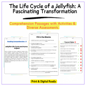 Jellyfish Life Cycle Worksheet