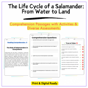 Salamander Life Cycle Worksheet