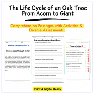 Oak Tree Life Cycle Worksheet