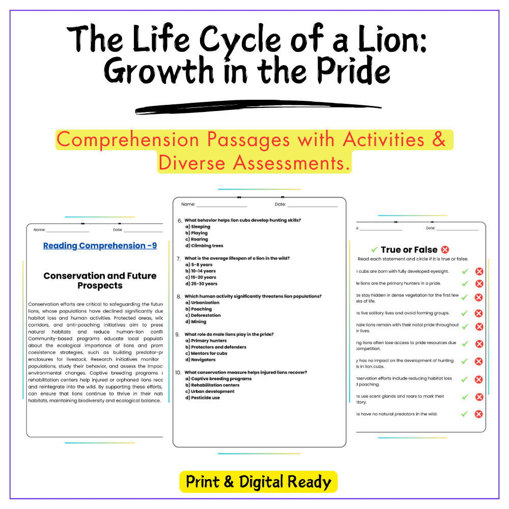 Lion Life Cycle Worksheet