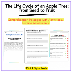 Apple Tree Life Cycle Worksheet