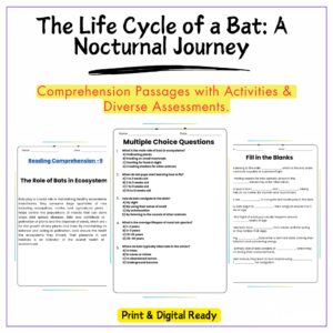 Bat Life Cycle Worksheet