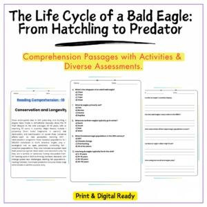 Bald Eagle Life Cycle Worksheet
