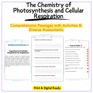 Photosynthesis & Respiration Worksheet