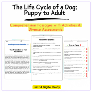 Dog Life Cycle Worksheet