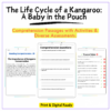 Kangaroo Life Cycle Worksheet