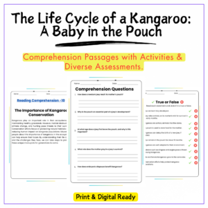 Kangaroo Life Cycle Worksheet