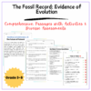 Fossil Record Worksheet