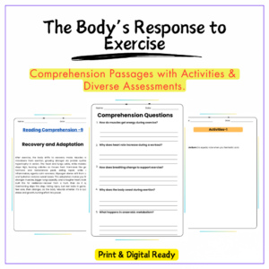 Body Response to Exercise Worksheet
