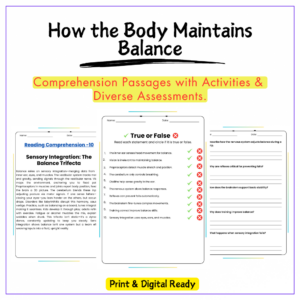 Body Balance Worksheet