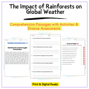 Rainforests & Weather Worksheet
