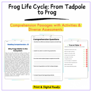 Frog Life Cycle Worksheet