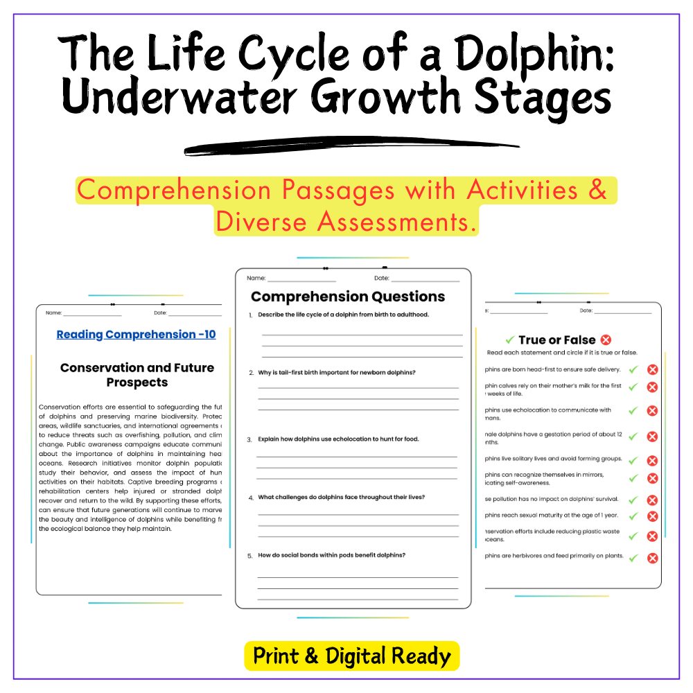 Dolphin Life Cycle Worksheet