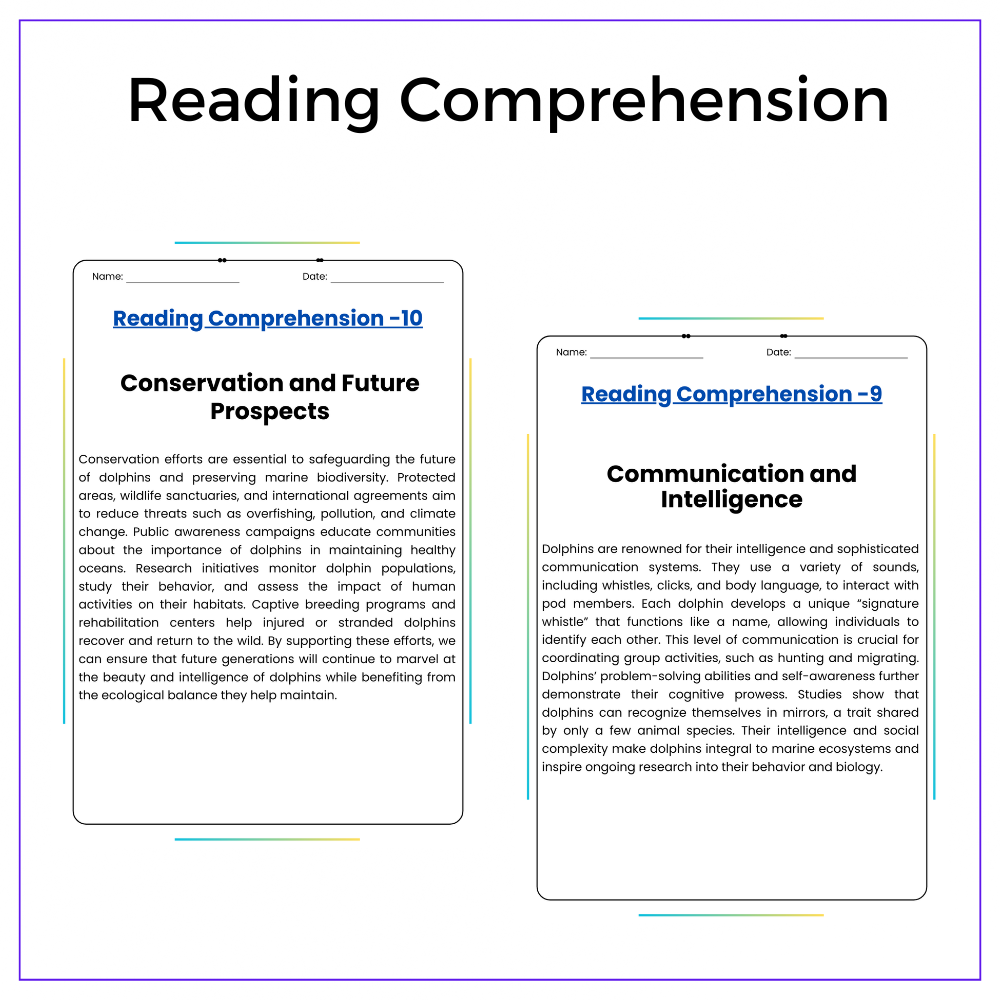 Dolphin Life Cycle Worksheet - Image 2